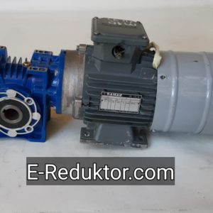 55 Devir Redüktörlü Motor